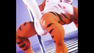 Gay Porn 8